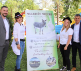IMG_4992_1024x683