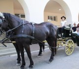 IMG_5307_1024x683